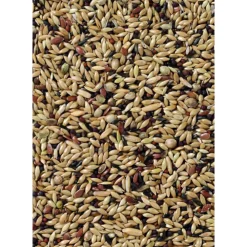 Hot Premium Kanarie 1 kg Droogvoer & Zaden