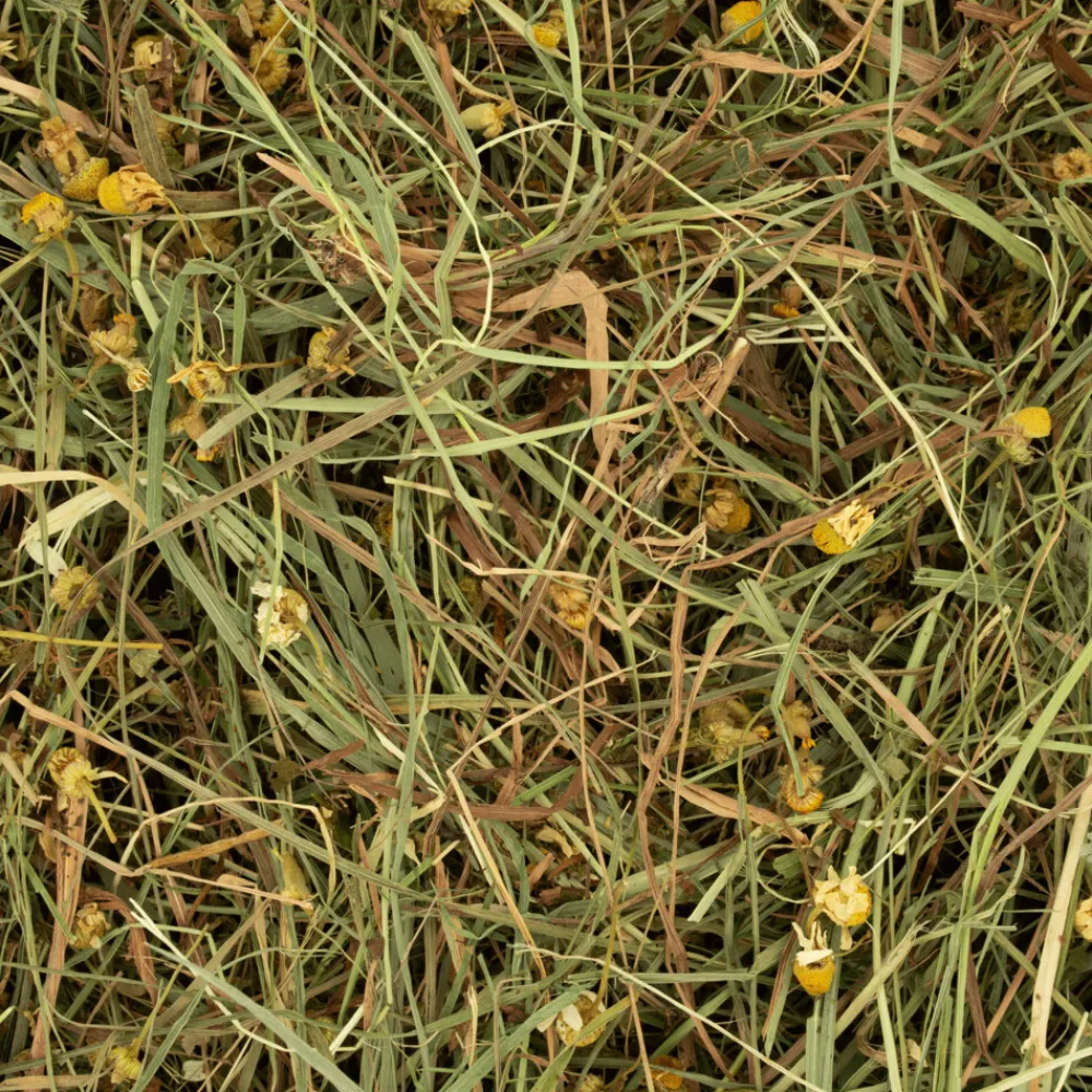 Droogvoer & Zaden<Deli Nature Rodelicious Kruidenhooi Madelief & Paardenbloem 600gr