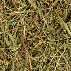 Sale Rodelicious Kruidenhooi Kamille & Munt 600gr Droogvoer & Zaden