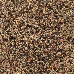 Outlet Sijsjes en Distelvinken Nummer 48 20 kg Droogvoer & Zaden