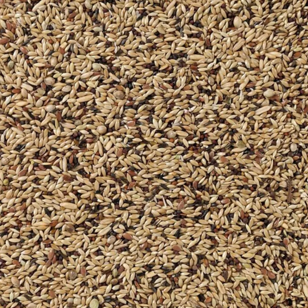 Outlet Supreme Kanarie Nummer 55 20 kg Droogvoer & Zaden