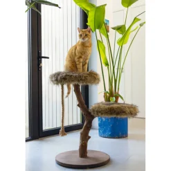 Krabpalen & Meubels<Designed by Lotte Krabmeubel Hout Aviva 50 x 50 x 68 cm