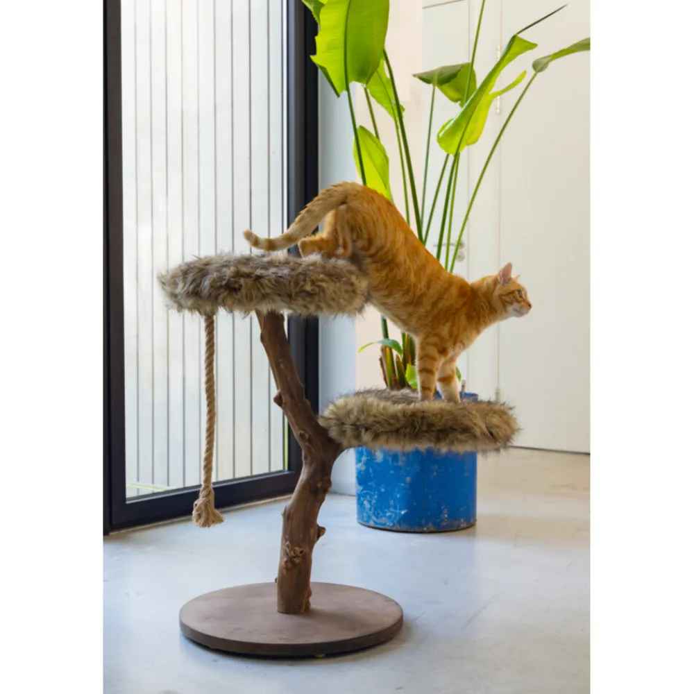 Krabpalen & Meubels<Designed by Lotte Krabmeubel Hout Aviva 50 x 50 x 68 cm