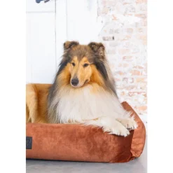 Manden & Dekens<Designed by Lotte Ligbed Yndis Terra 80 x 70 x 22 cm