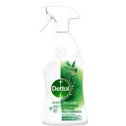 Allesreiniger<Dettol Allesreiniger Spray Eucalyptus 500 ml