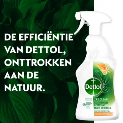 Outlet Allesreiniger Spray Mandarijn & Citroenbloesem 500 ml Allesreiniger