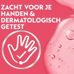 Foam Handzeep Rozen & Kers 250 ml^Dettol Discount