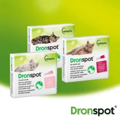 Vlo, Teek & Worm<Dronspot Spot On Ontwormingsdruppels Kat 2,5 - 5 kg 2 pipetten