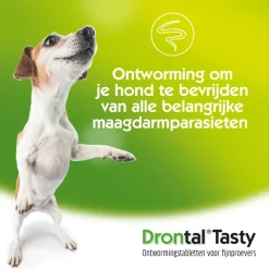 Vlo, Teek & Worm<Drontal Ontworming Tabletten Hond vanaf 35 kg 2 tabletten