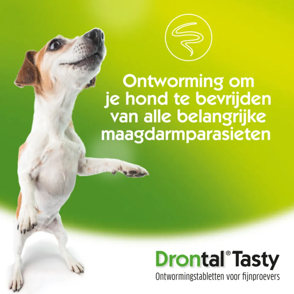 Vlo, Teek & Worm<Drontal Ontworming Tabletten Hond vanaf 35 kg 2 tabletten