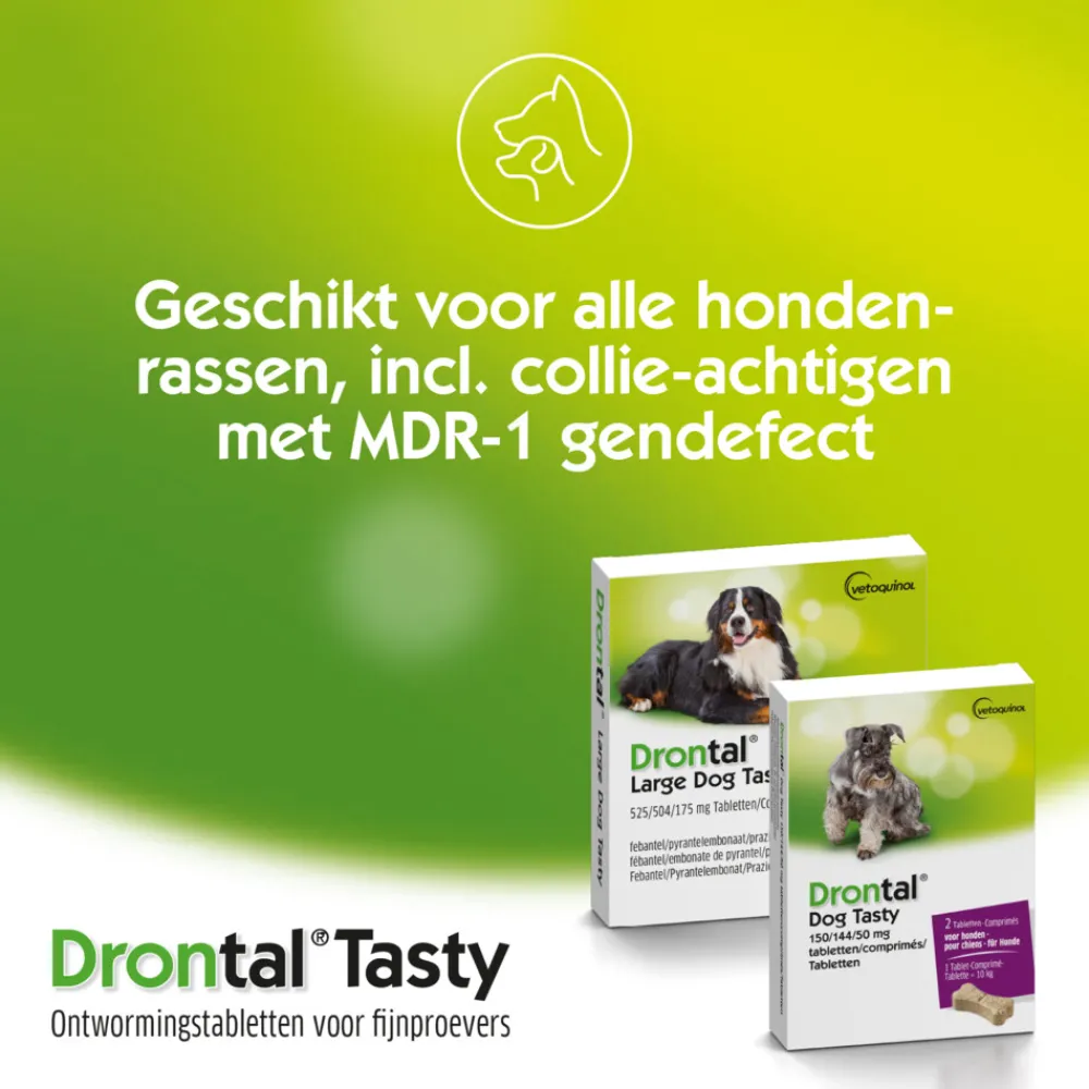 Vlo, Teek & Worm<Drontal Ontworming Tabletten Hond vanaf 35 kg 2 tabletten