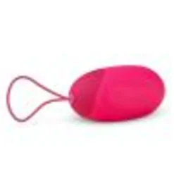 XL Vibratie-Ei Roze met Afstandsbediening 1 set Voor Haar