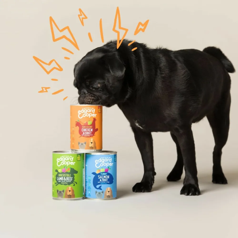 Blik Vers Vlees Senior Hondenvoer Kip - Zalm 400 gr^Edgard & Cooper Sale