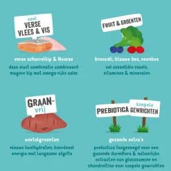 Best Hondenvoer Senior Scharrelkip - Noorse Zalm 12 kg Hondenvoer