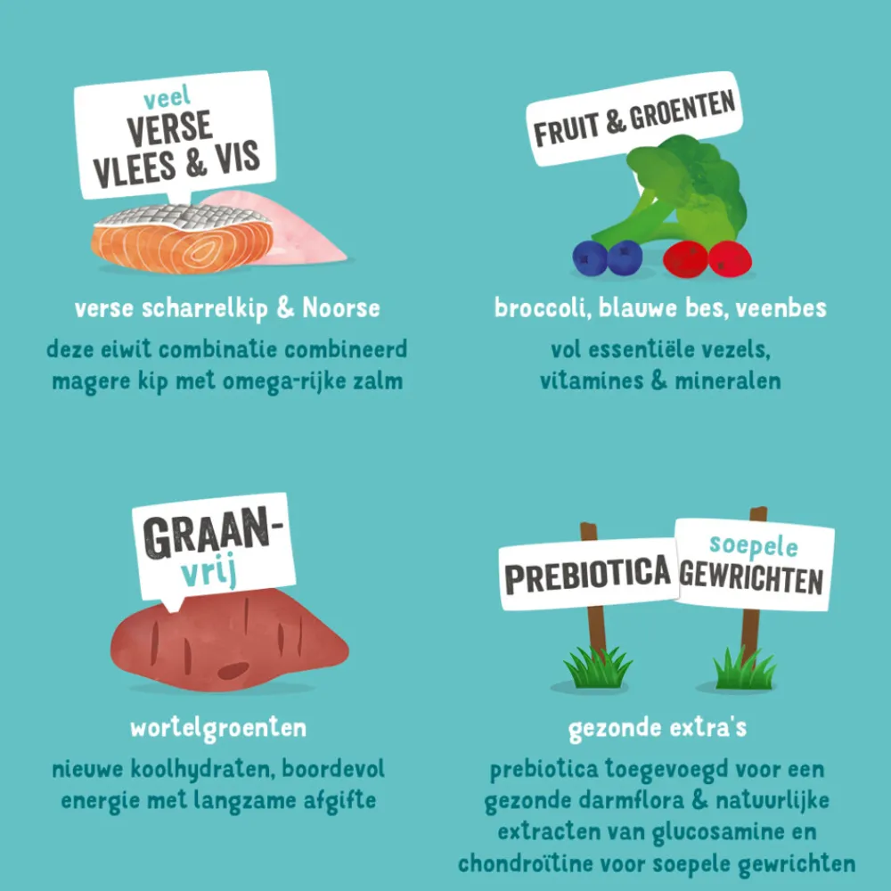 Best Hondenvoer Senior Scharrelkip - Noorse Zalm 12 kg Hondenvoer