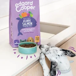 Hondenvoer Puppy Verse Zalm en Kalkoen 700 gr Hondenvoer