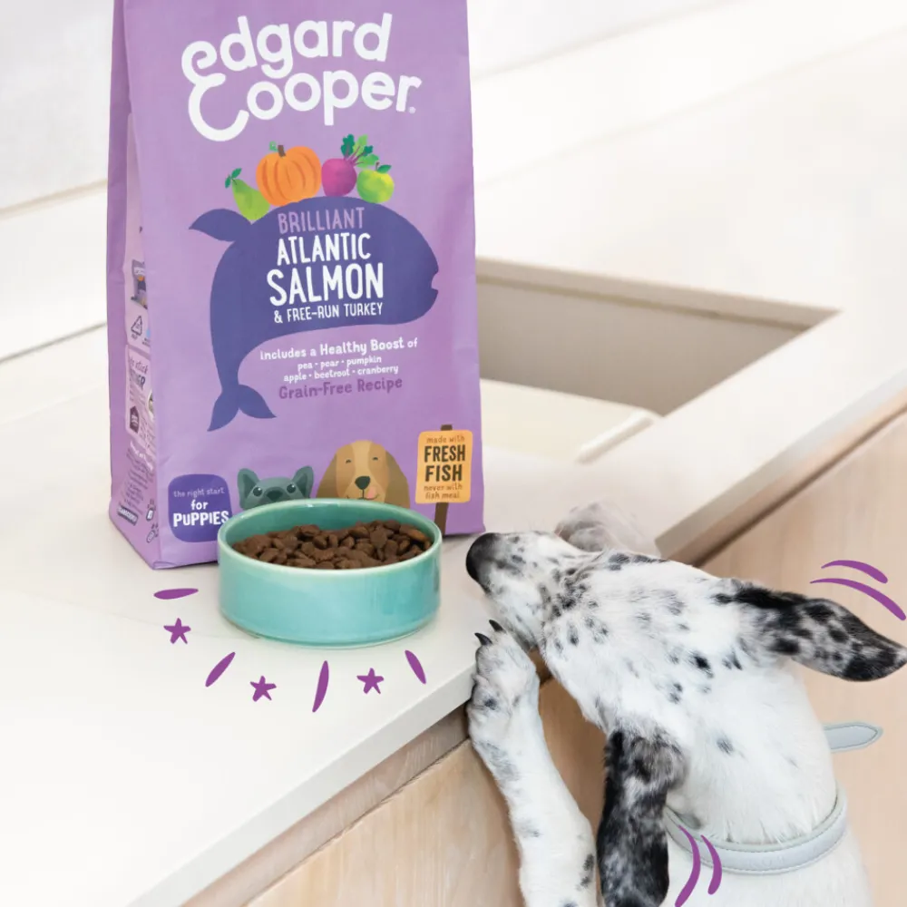 Hondenvoer Puppy Verse Zalm en Kalkoen 700 gr Hondenvoer