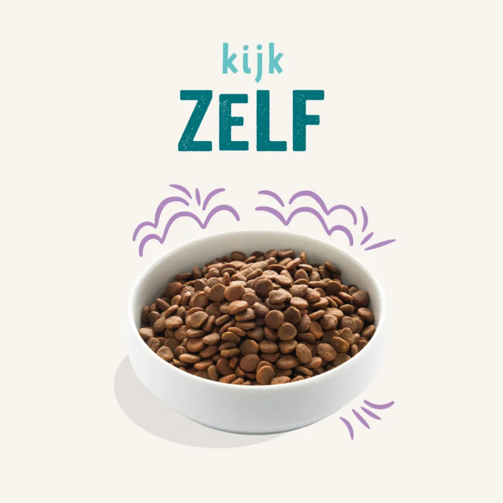 Hondenvoer Puppy Verse Zalm en Kalkoen 700 gr Hondenvoer