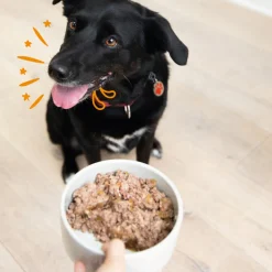 Hondenvoer<Edgard & Cooper Hondenvoer Multipack Kip - Kalkoen en Lam - Rund 4 x 300 gr