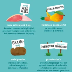 Best Hondenvoer Puppy Scharrelkip - Scharreleend 7 kg Hondenvoer
