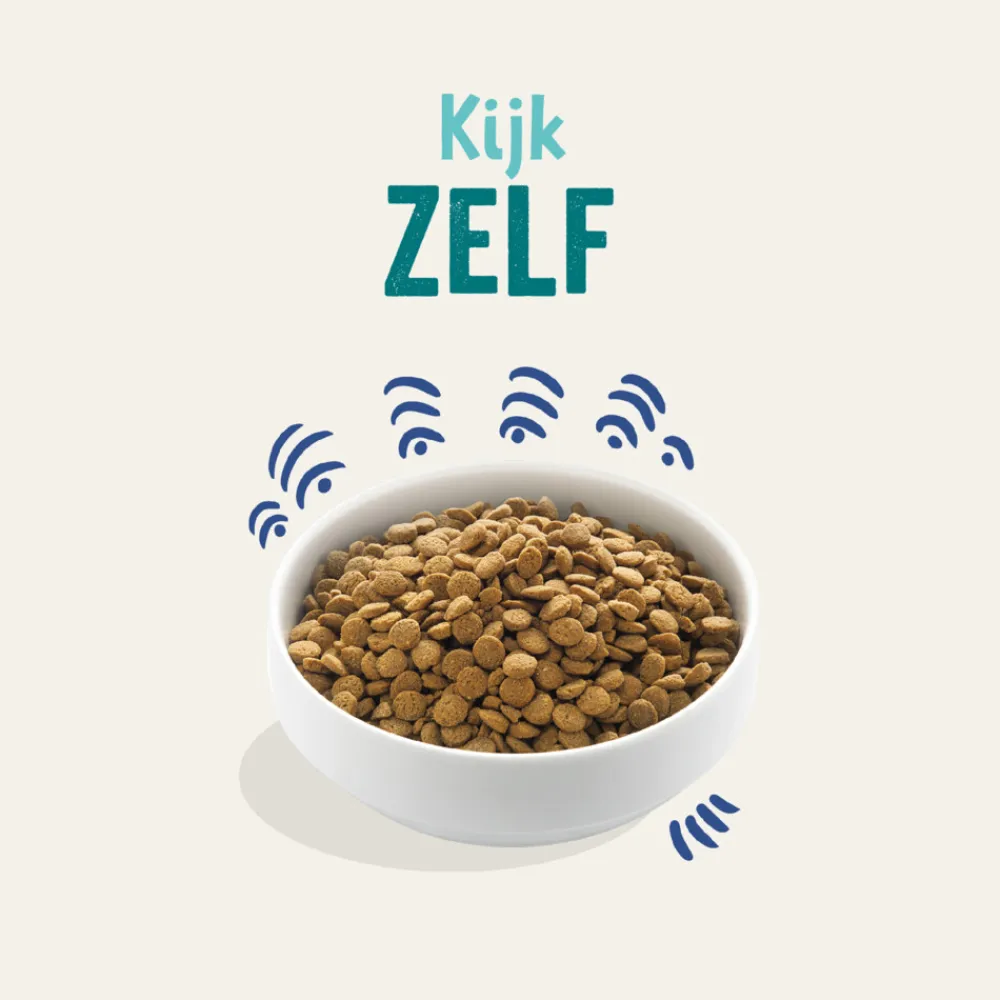 Sale Hondenvoer Noorse Zalm 2,5 kg Hondenvoer