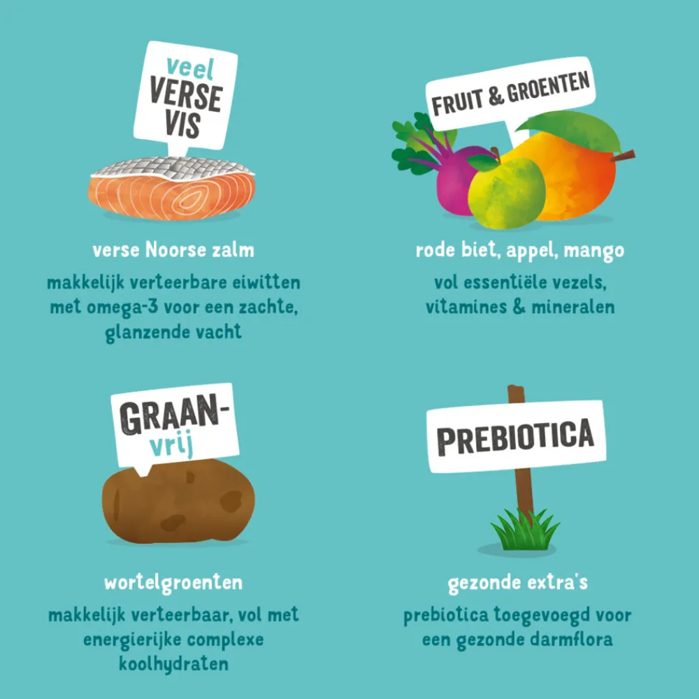 Sale Hondenvoer Noorse Zalm 2,5 kg Hondenvoer