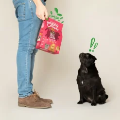 Sale Hondenvoer Bio Rund - Bio Kip 2,5 kg Hondenvoer