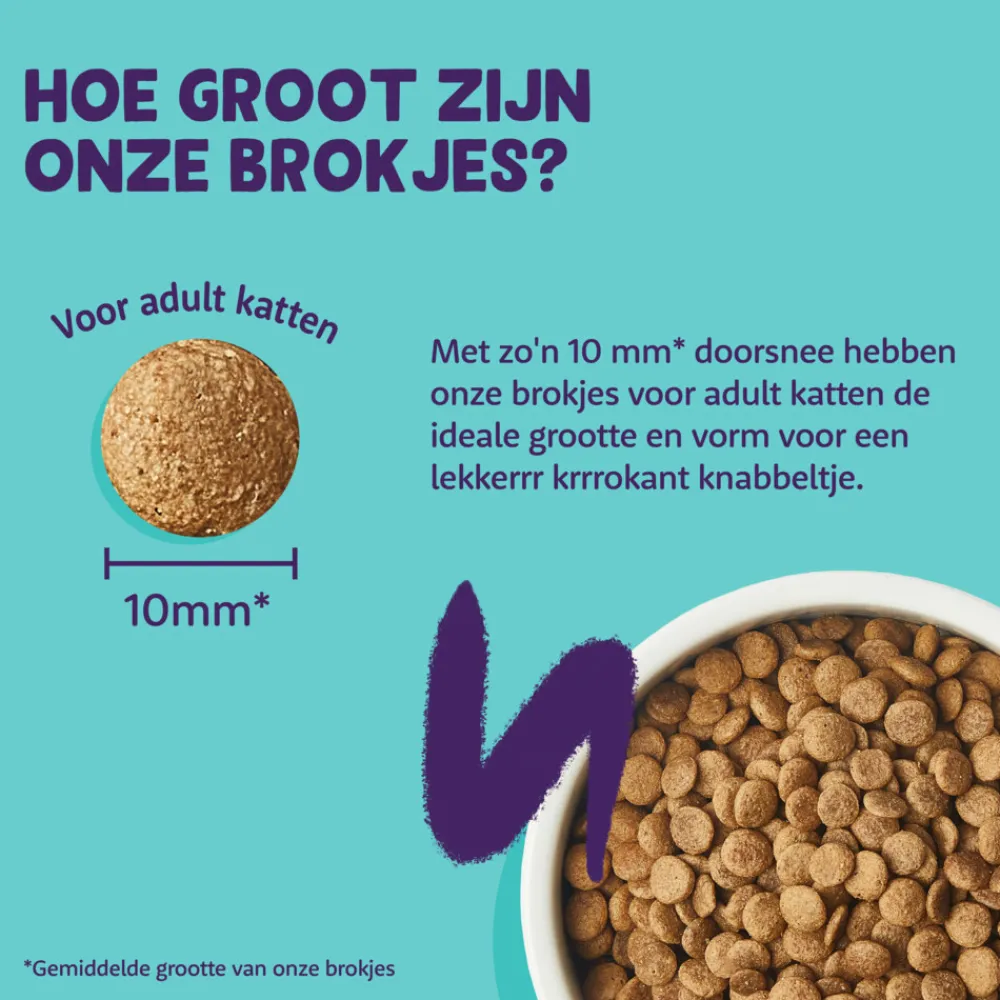 Kattenvoer<Edgard & Cooper Kattenvoer Adult Zalm 2 kg