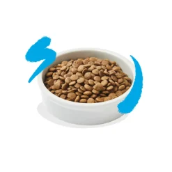 Kattenvoer Adult Zalm 325 gr Kattenvoer