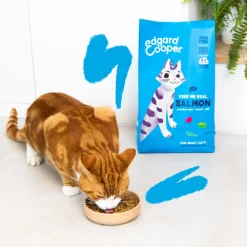 Kattenvoer Adult Zalm 325 gr Kattenvoer