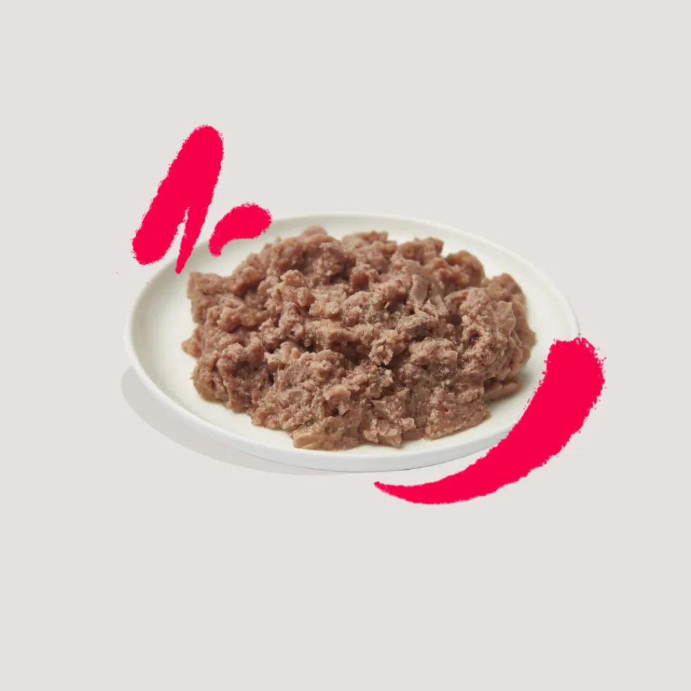 Kattenvoer<Edgard & Cooper Kattenvoer Senior Pate Kip - Kalkoen 85 gr