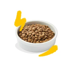 Kattenvoer<Edgard & Cooper Kattenvoer Adult Kalkoen - Kip 325 gr