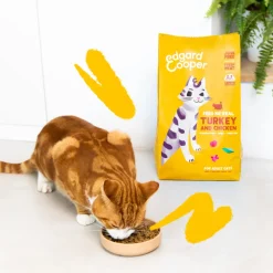 Kattenvoer<Edgard & Cooper Kattenvoer Adult Kalkoen - Kip 325 gr
