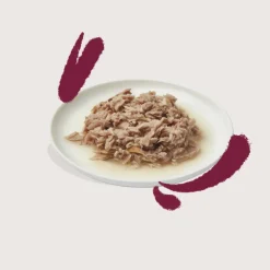 Discount Kattenvoer Fillets Tonijn - Kip 70 gr Kattenvoer