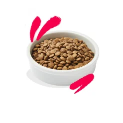 Kattenvoer<Edgard & Cooper Kattenvoer Senior Kip - Kalkoen 2 kg