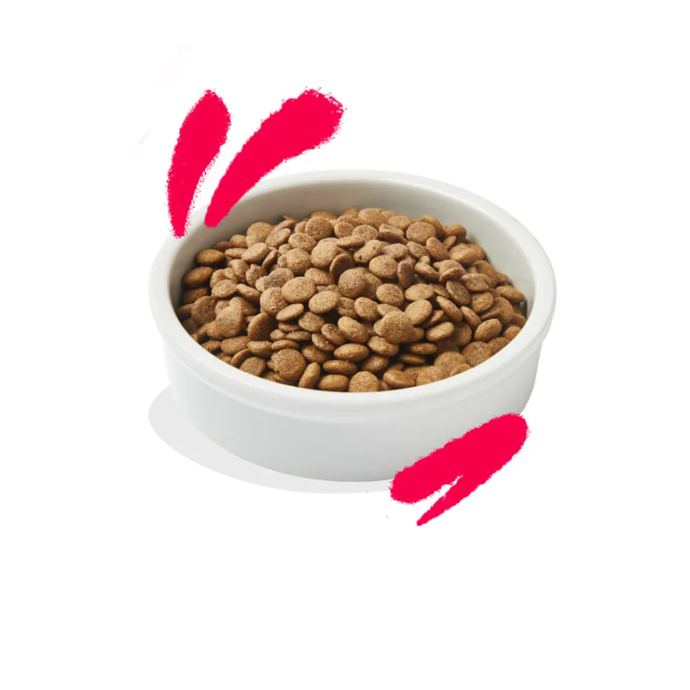 Kattenvoer<Edgard & Cooper Kattenvoer Senior Kip - Kalkoen 2 kg