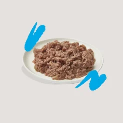 Kattenvoer<Edgard & Cooper Kattenvoer Adult Pate Zalm - Kip 85 gr