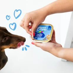 Hondenvoer<Edgard & Cooper Kuipje Vers Vlees Hondenvoer Zalm - Kalkoen 150 gr