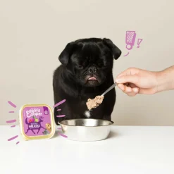 Hondenvoer<Edgard & Cooper Kuipje Vers Vlees Hondenvoer Wild - Eend 150 gr