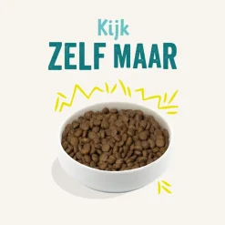 Hondenvoer<Edgard & Cooper Plantaardig Hondenvoer Wortel - Courgette 2,5 kg