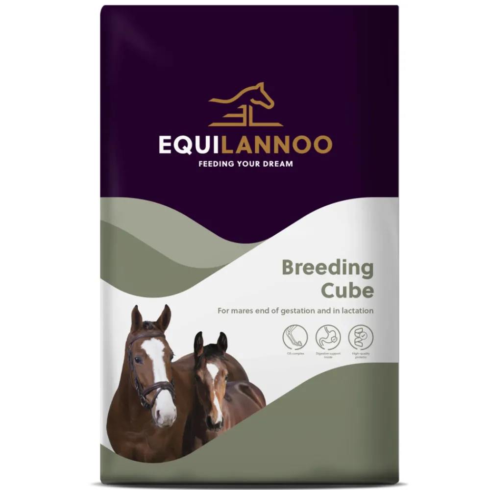 Paard<Equilannoo Breeding Cube 20 kg