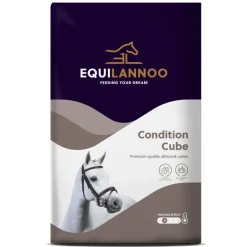 Paard<Equilannoo Condition Cube 20 kg
