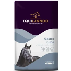 Paard<Equilannoo Gastro Cube 20 kg