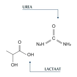 Haar<Eucerin DermoCapillaire Kalmerende Urea Milde Shampoo 250 ml