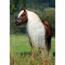 Hi Gloss Gel 250 ml Paard