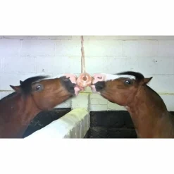 Paard<Excellent Salt Lick Himalaya 2-3 kg