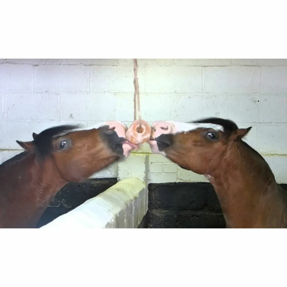 Paard<Excellent Salt Lick Himalaya 2-3 kg