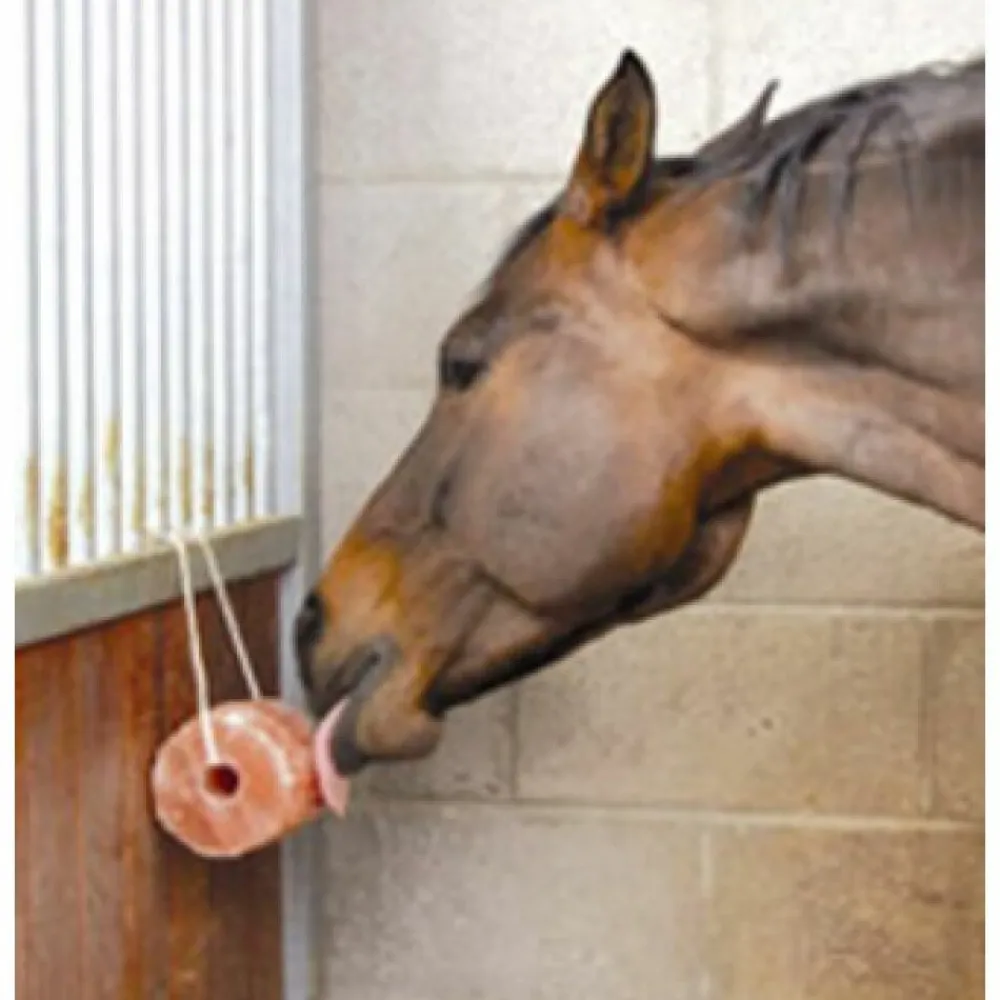 Paard<Excellent Salt Lick Himalaya 2-3 kg
