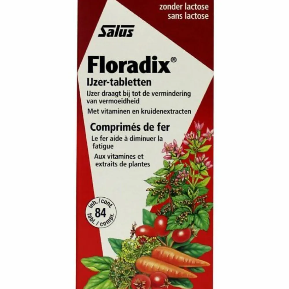 IJzer 84 tabletten^Floradix Online