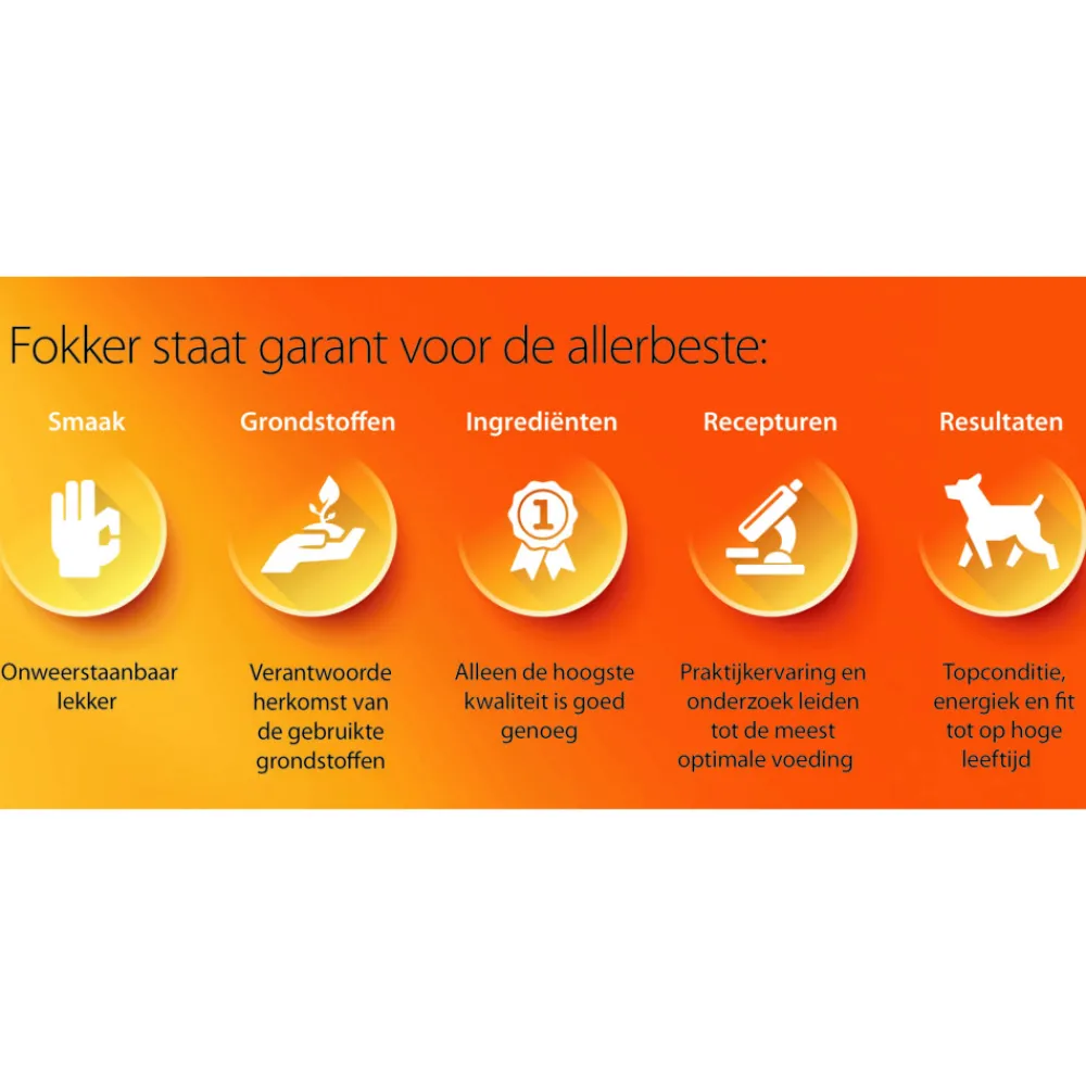 Steri-Fit Kattenvoer Skin & Coat 10 kg^Fokker